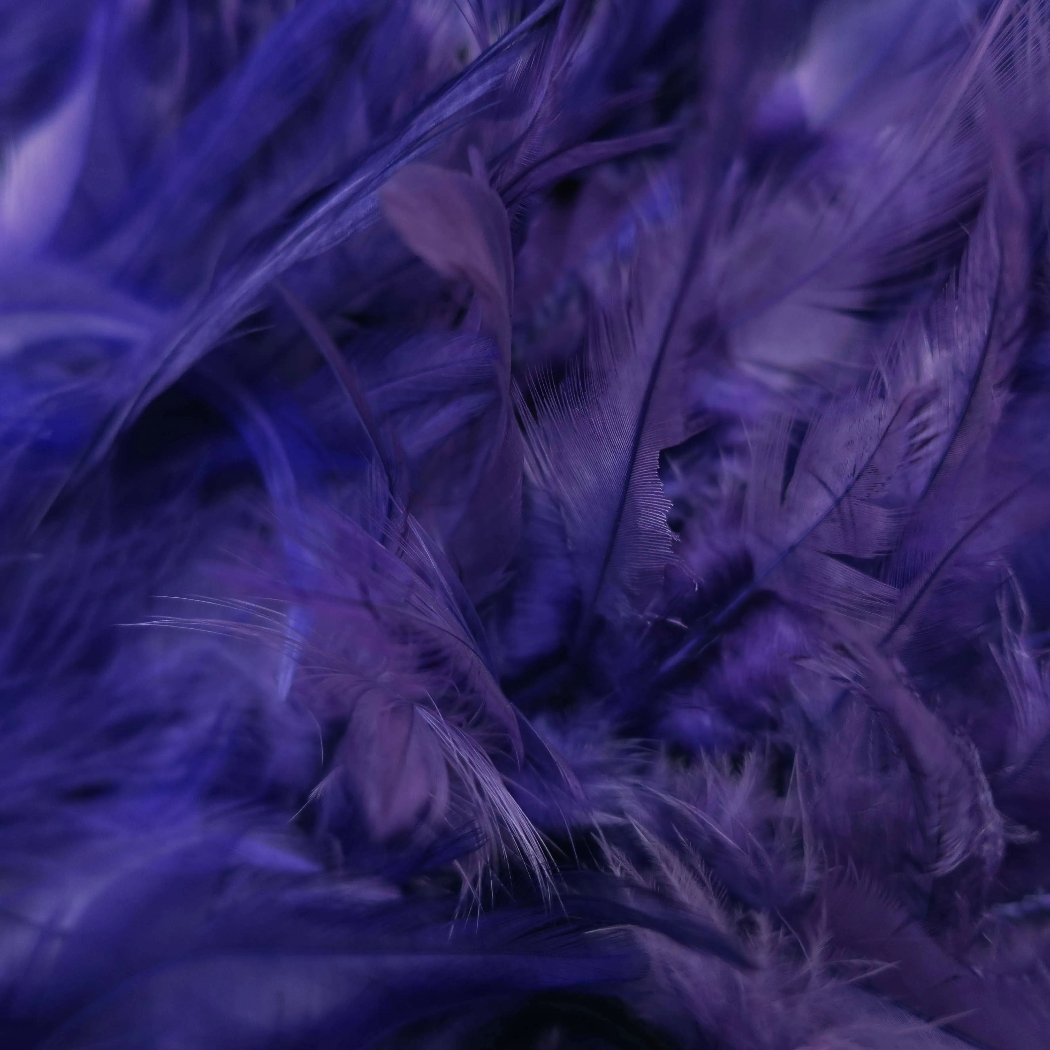 Midnight Purple Feathered Embroidered Fashion Fabric