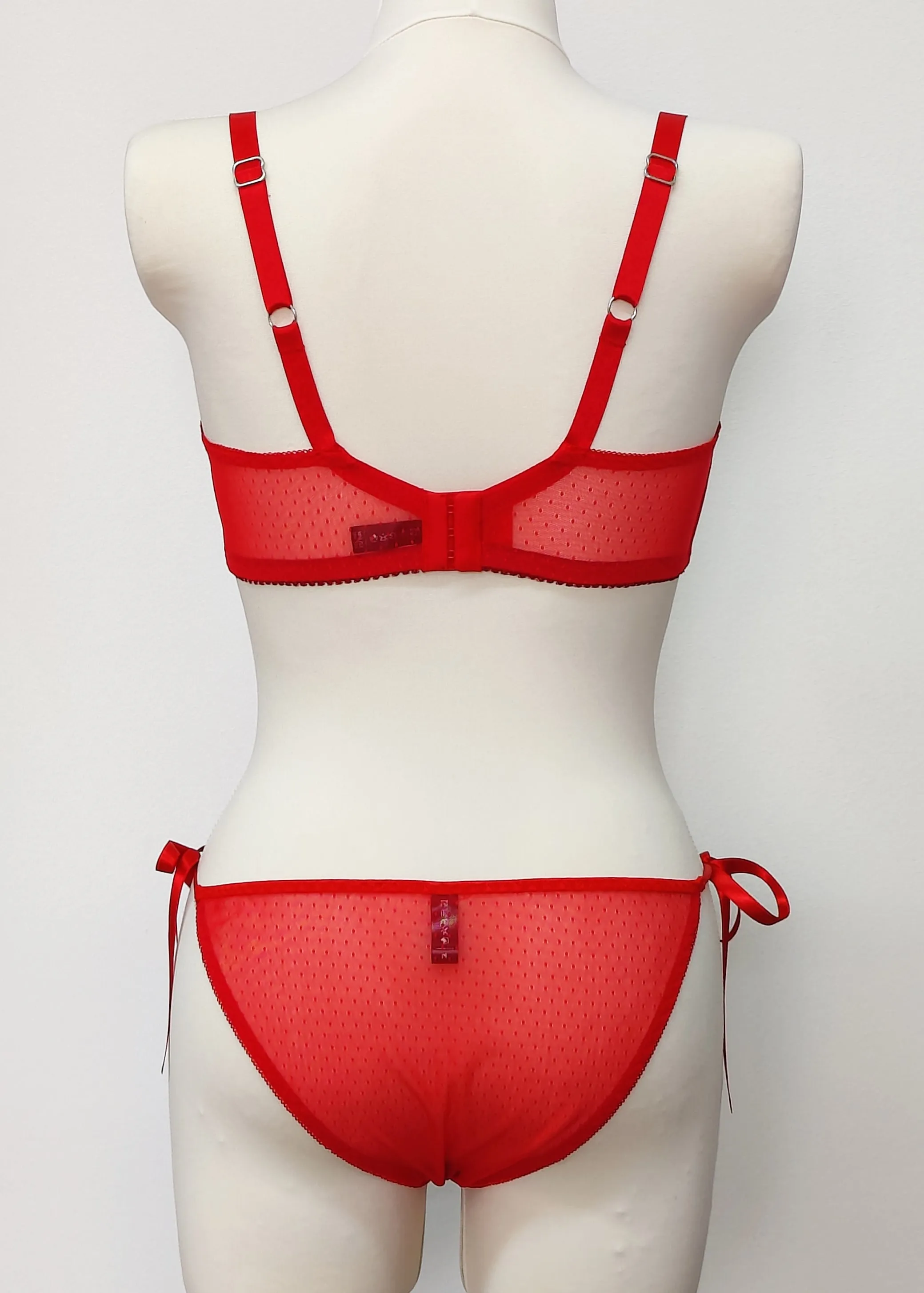 Red Sheer IRMA Panties