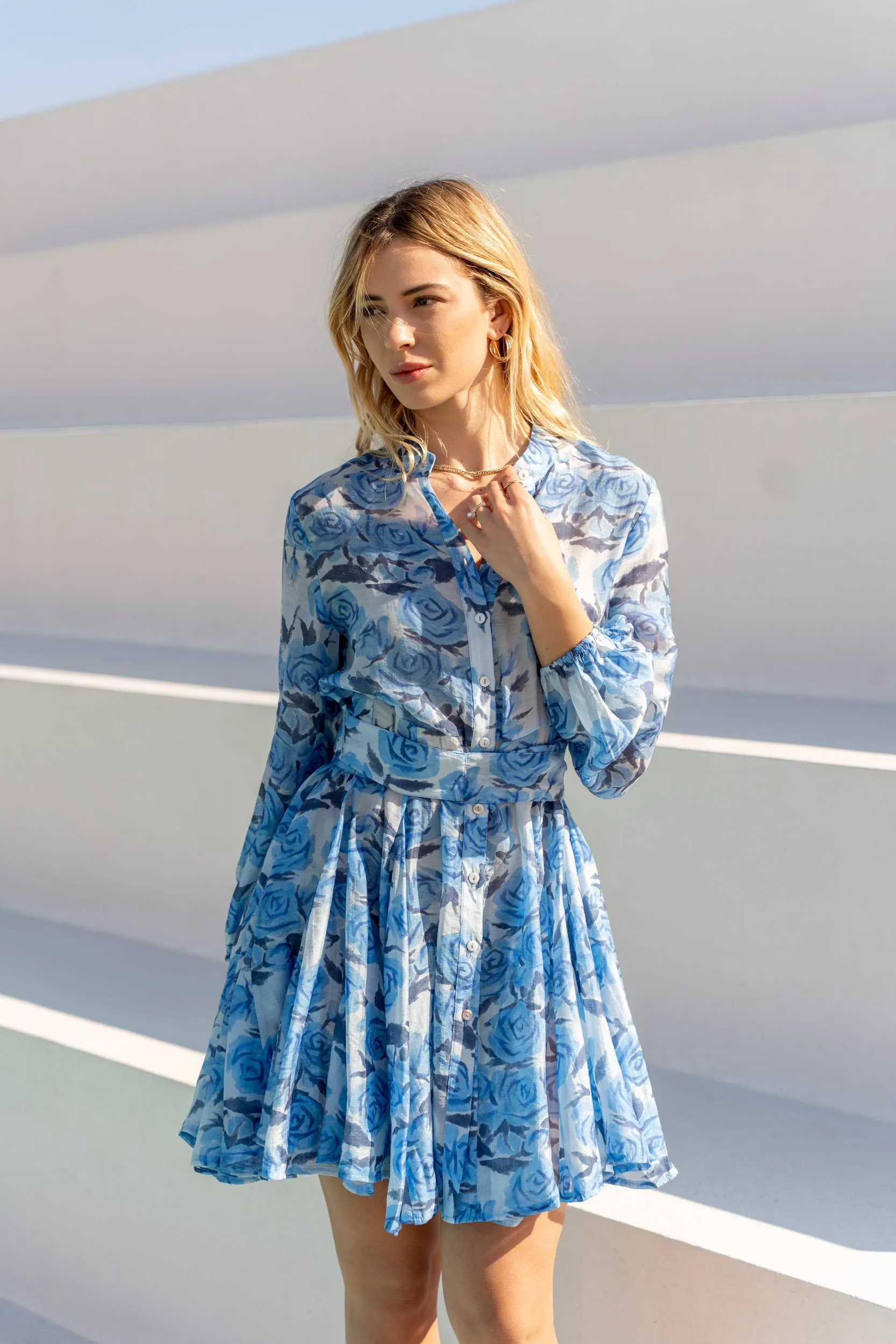 Sonia Skater Dress Printed in Silk Tencel