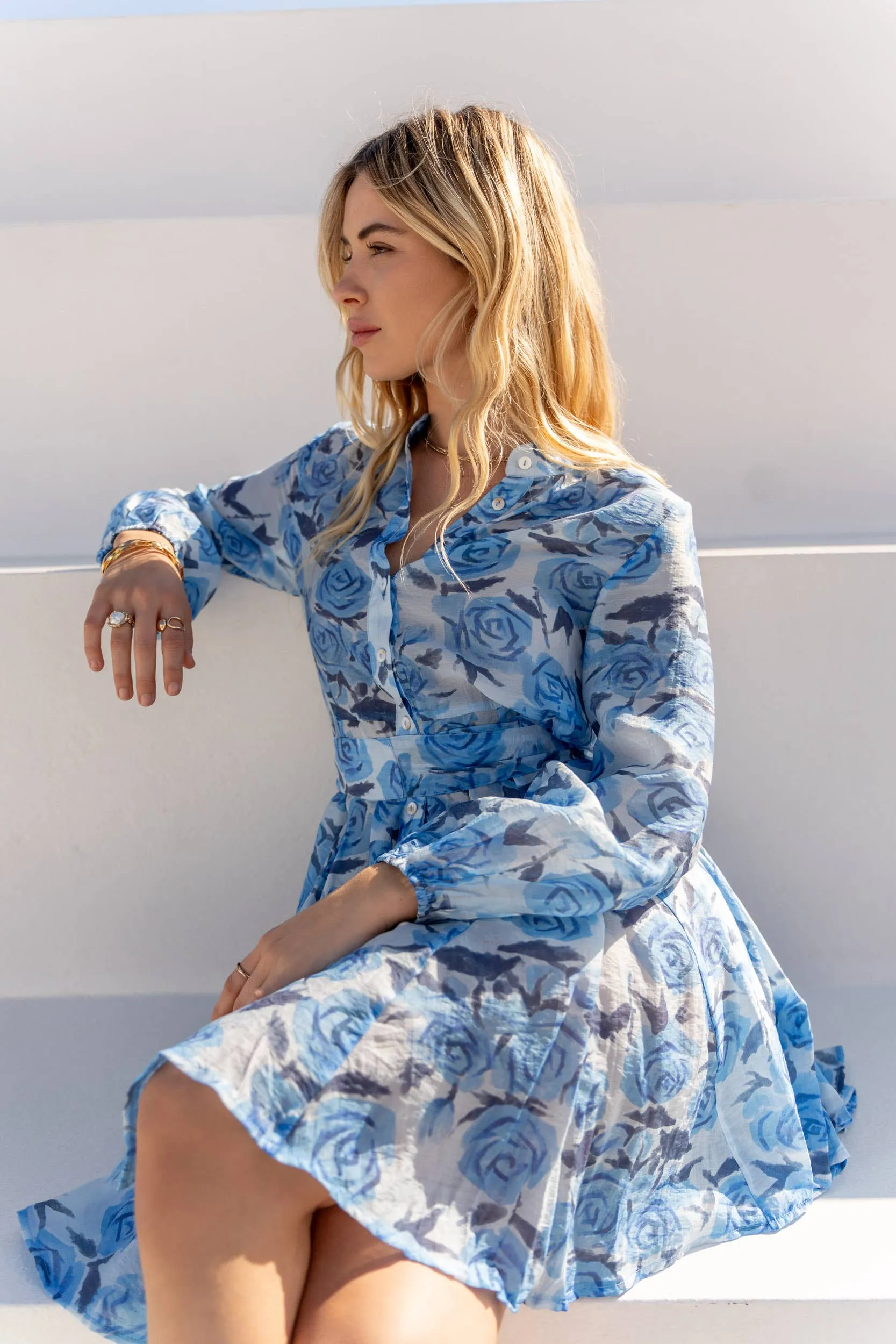Sonia Skater Dress Printed in Silk Tencel